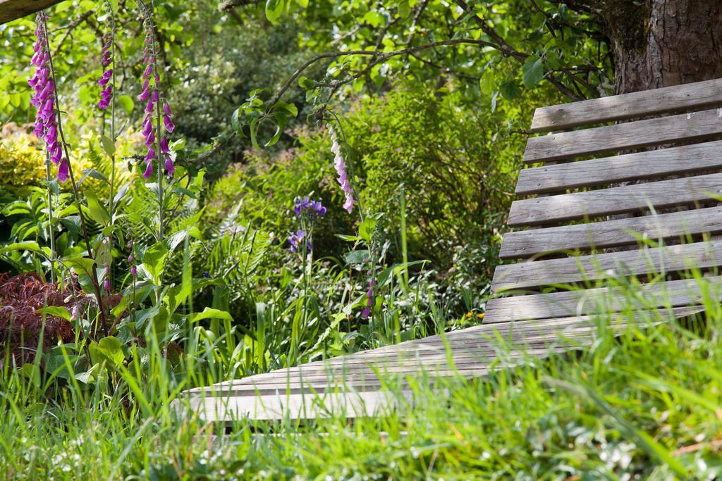 Glebe Farm B&B Kingsbridge  Exterior photo